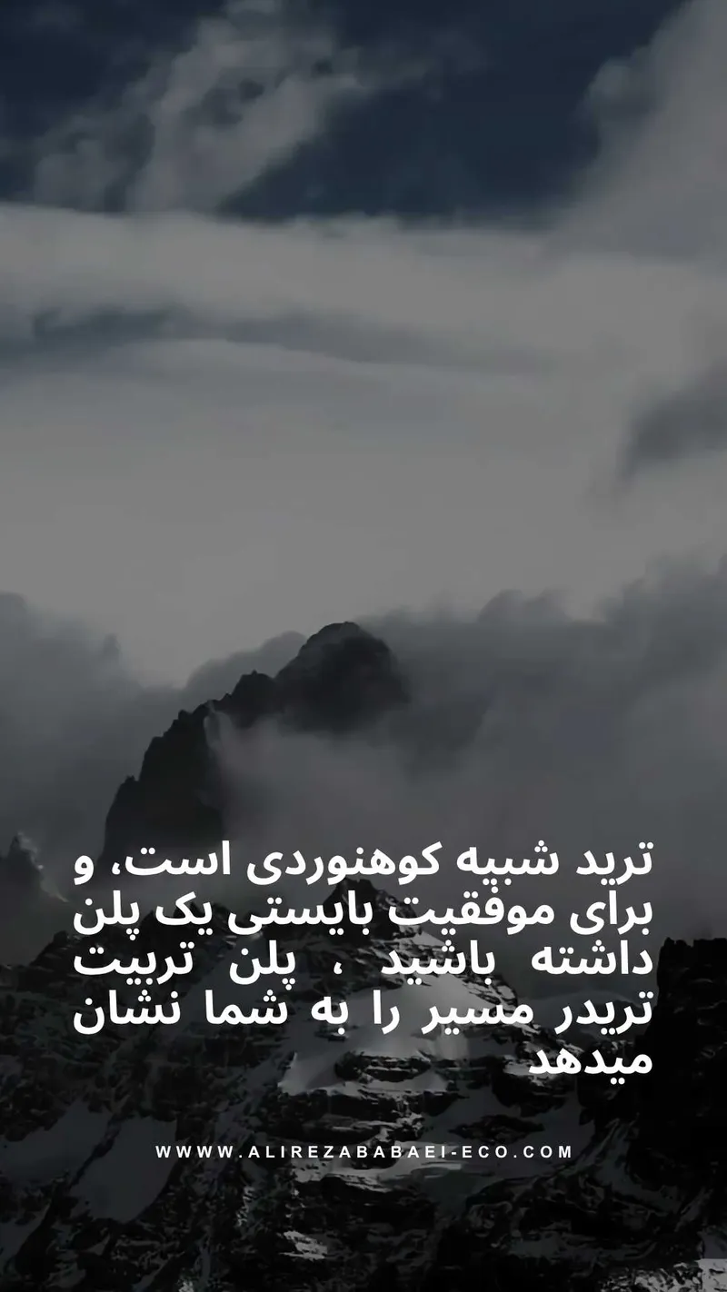 پلن تربیت تریدر